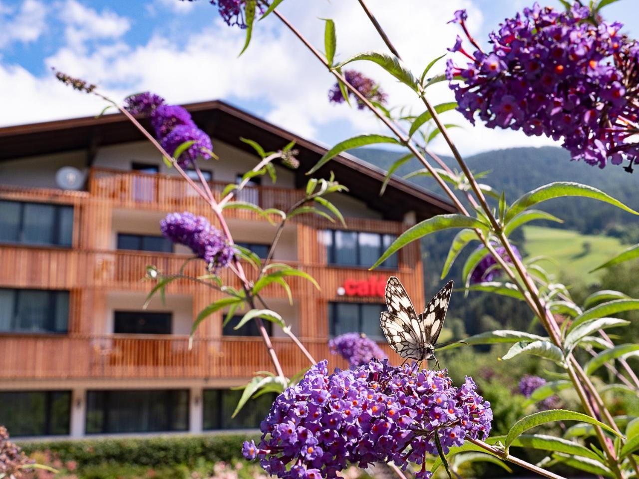 Aparthotel Der Brückenwirt Heinfels Exterior foto